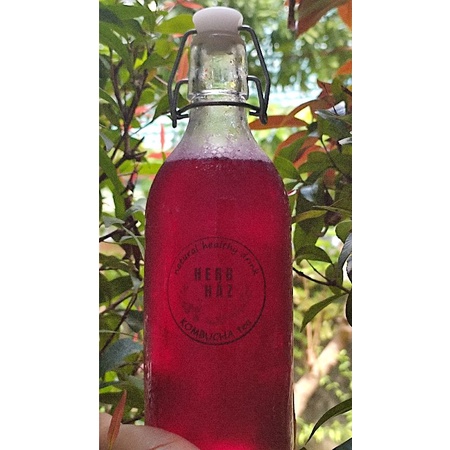 Kombucha  buah naga botol korken kaca 500 ml