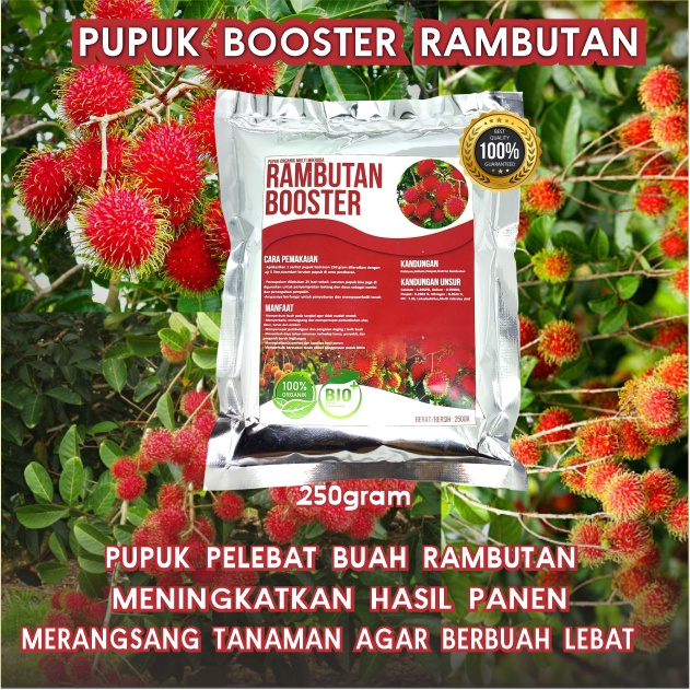 Pupuk Organik Perangsang Buah Rambutan,Pupuk Booster Pelebat Rambutan Agar Cepat Berbuah