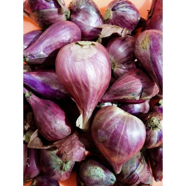

sayursegar bawang merah lokal