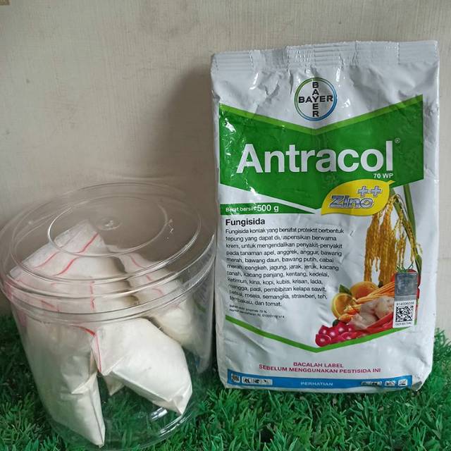 ANTRACOL FUNGISIDA