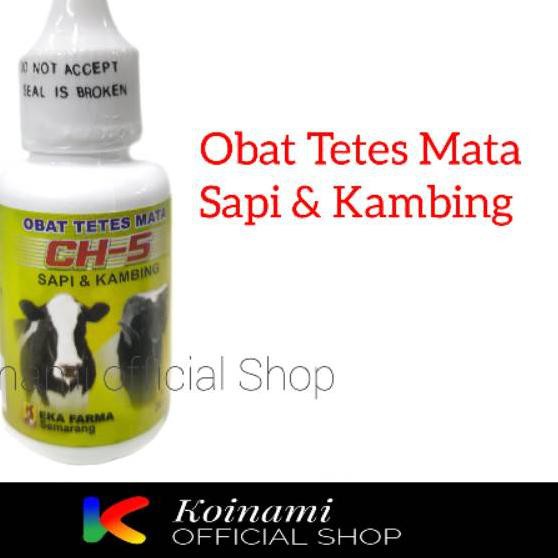 『fast』 OBAT TETES MATA CH-5 / hewan kaki empat / kambing sapi domba kerbau / vitamin / pet / eka far