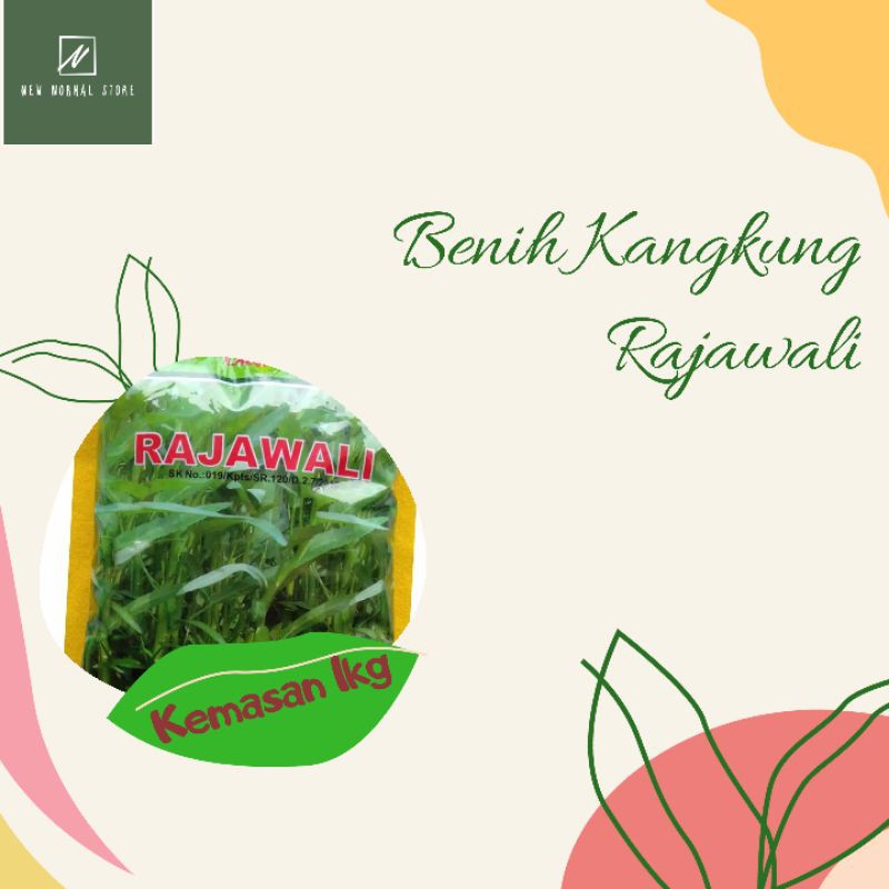 BIBIT BENIH KANGKUNG RAJAWALI 1KG MURAH