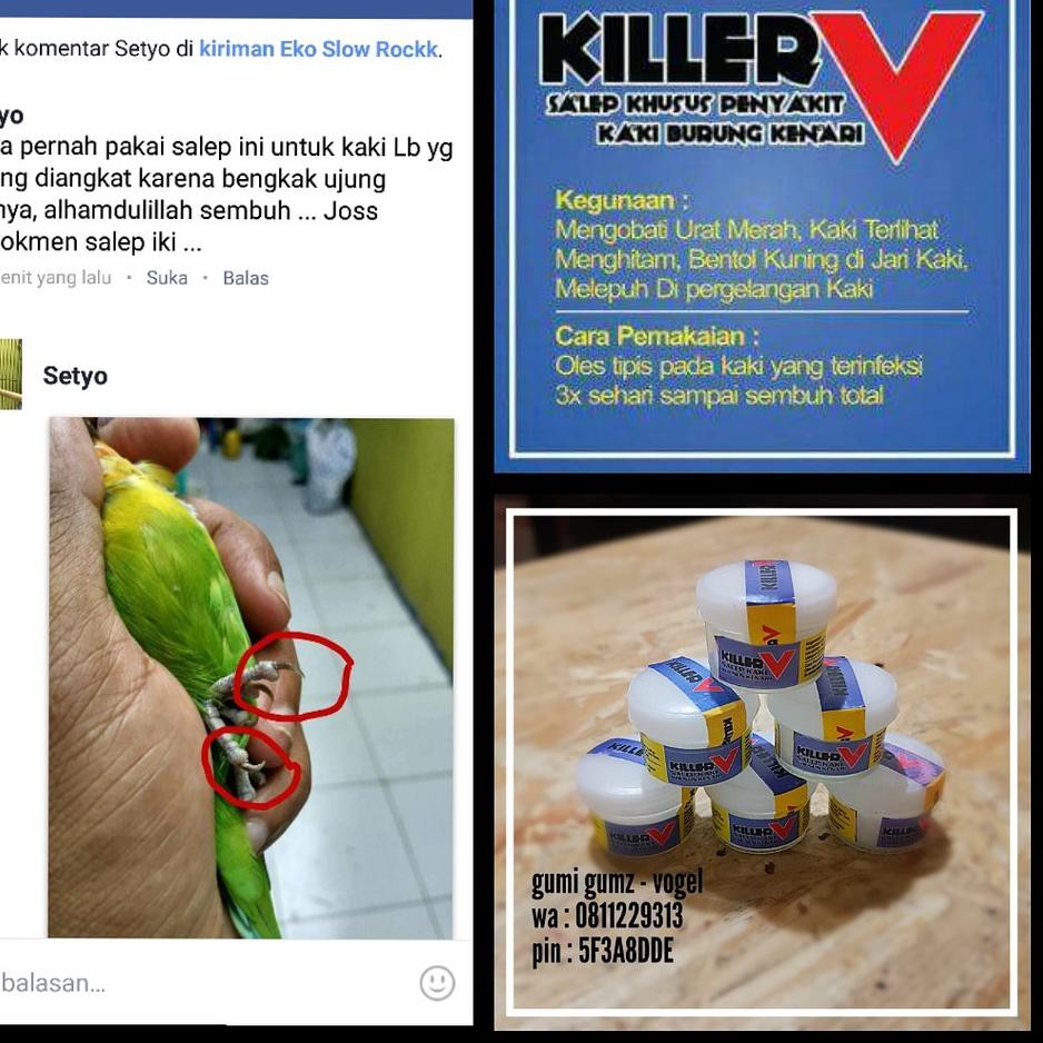 Produk Keren JSNS9 SALEP KILLER V SALEP BURUNG KENARI OBAT PENYAKIT KAKI BURUNG KENARI 83 Harga Term