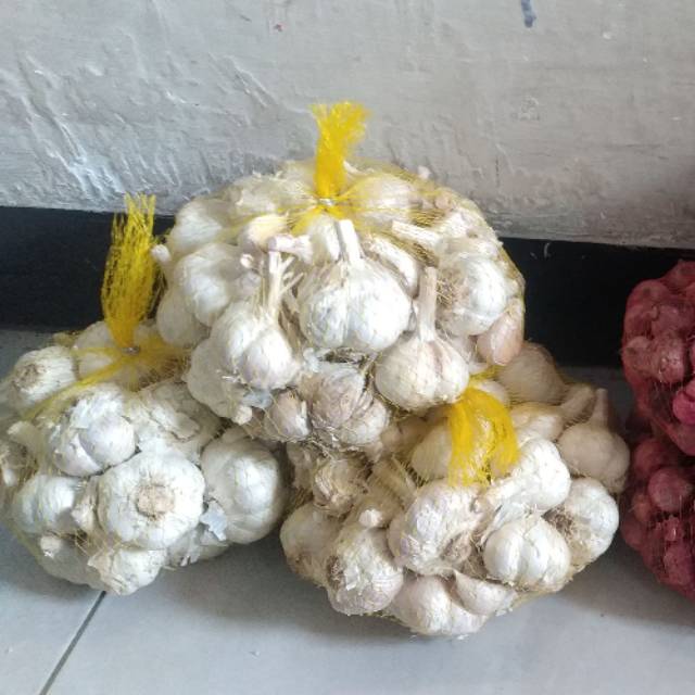 Jual Bawang Putih Kating Biasa Kemasan 250gr Shopee Indonesia