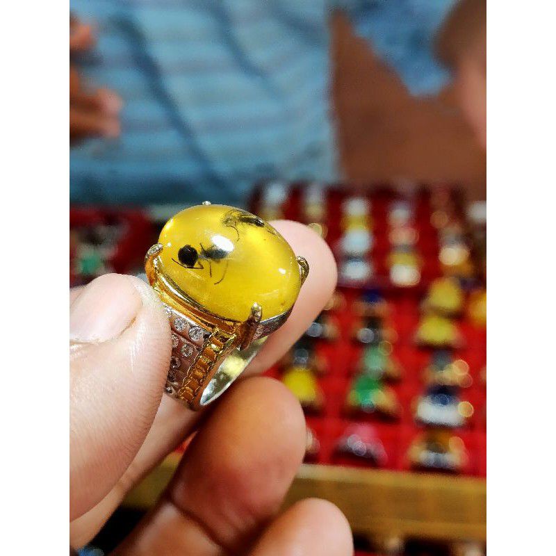 batu cincin getah katilayu semut warna kuning