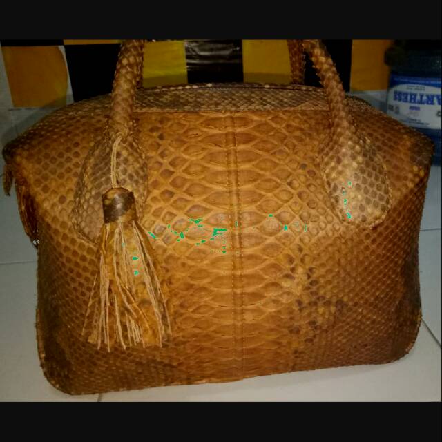 tas reptile natalie original