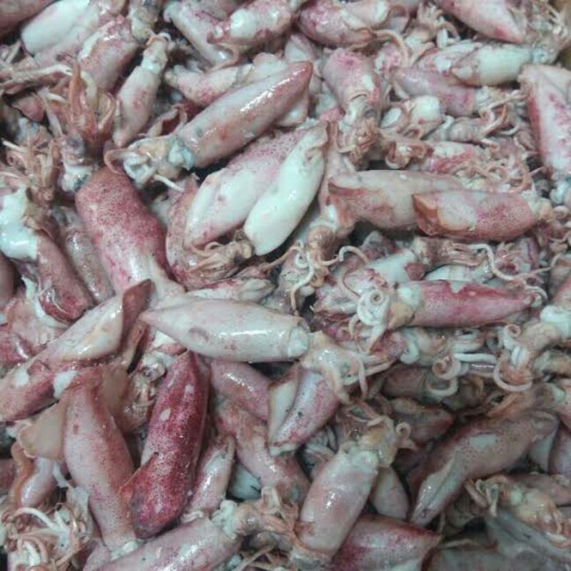 

Ikan asin Cumi