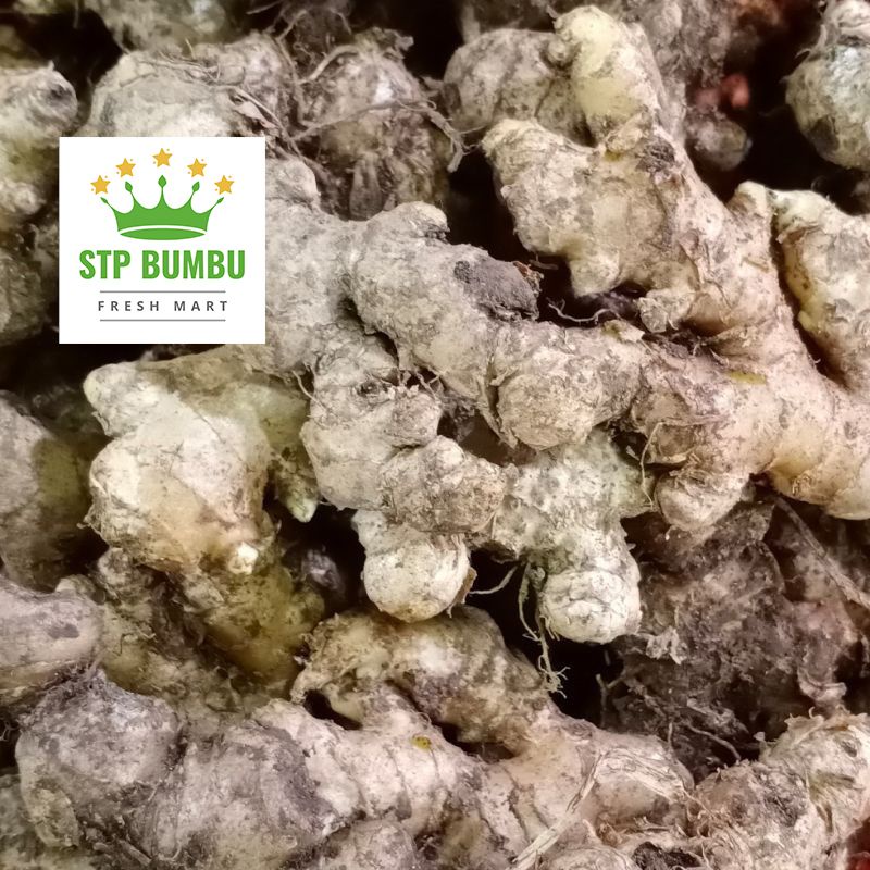 

Jahe Emprit Segar 250 gram / Jahai Wedang Fresh