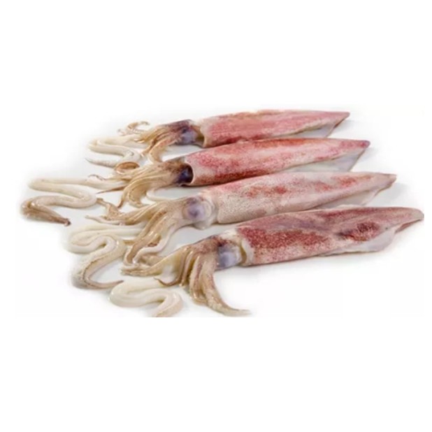 

CUMI - CUMI SEGAR / FRESH / FRESH SQUID / FROZEN / 5 - 8 / MURAH 500 GR