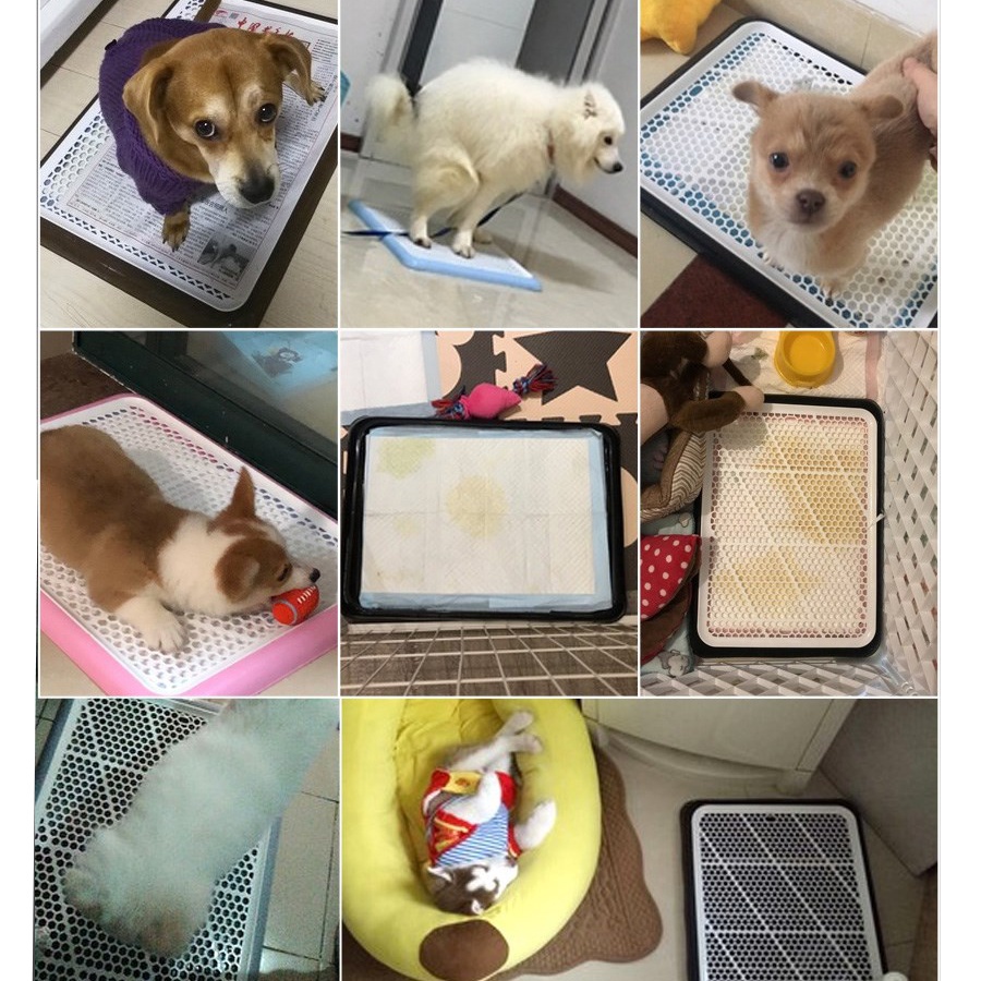 Toilet Anjing Pee Poop Training Pad Tray Pet Toilet Training Toilet Hewan