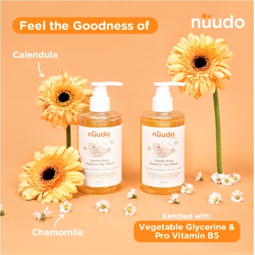 Nuudo by Pureco - Bubbly Kids Face Body Wash / Gentle Head To Toe Baby Wash / Refill Travel Full Size - Sabun Anak Bayi Natural Aloe Vera