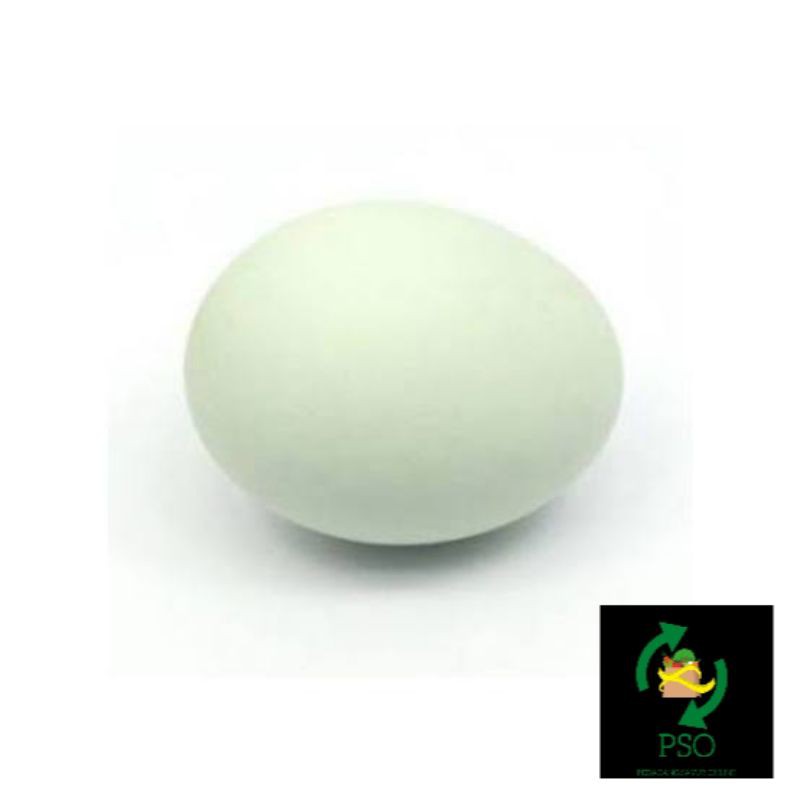 

TELUR BEBEK/pcs