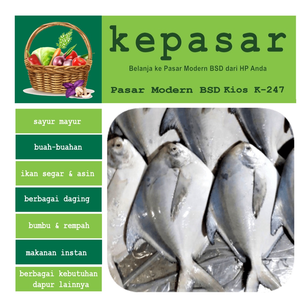 

Ikan Bawal Putih Besar 500 g - Kepasar Pasar Online