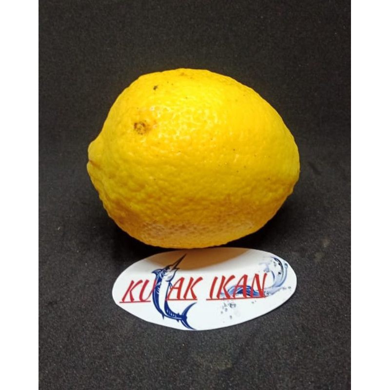 

JERUK LEMON SUPER - 1 Pcs