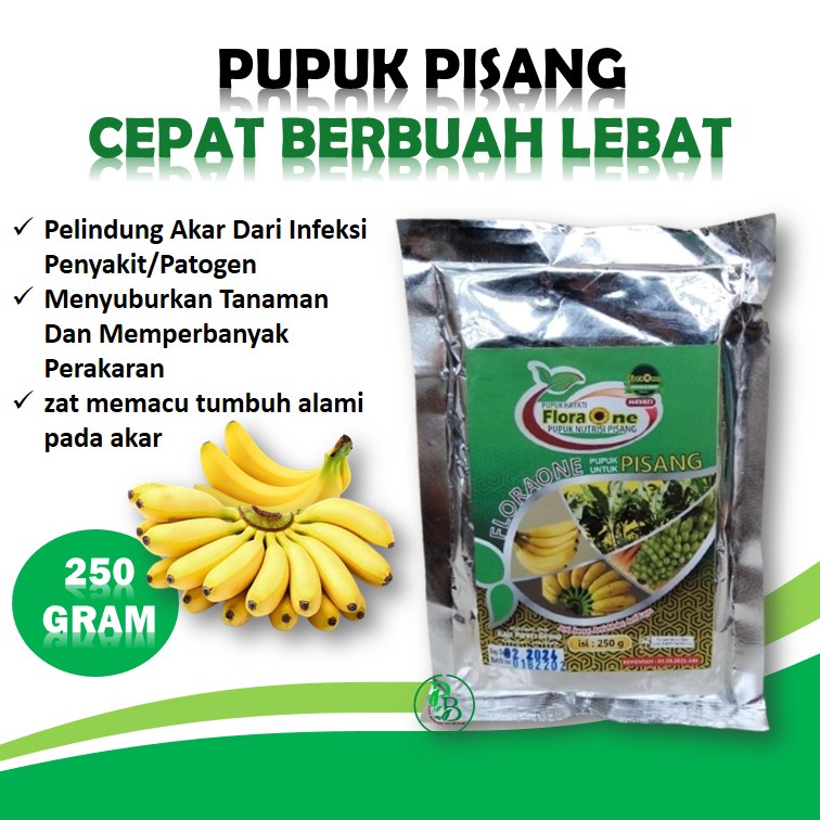 

Booster Hayati Tanaman Pisang Susu, Pupuk Nutrisi Buah pisang cavendish Bebruah Lebat Anti Moler