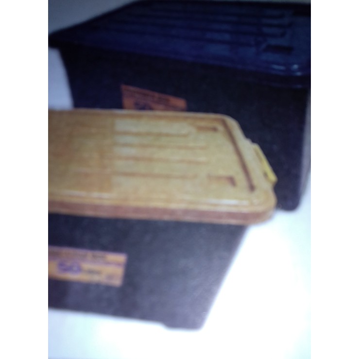 [Promo] Container Box plastik 45L Ekonomis