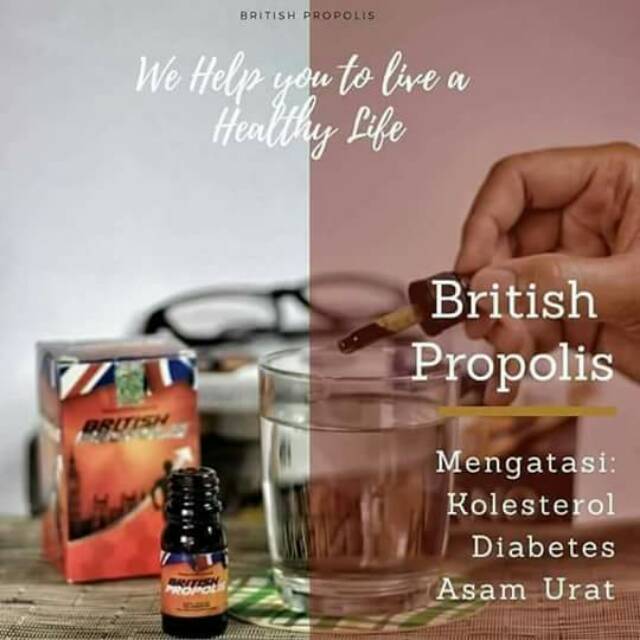 

British propolis