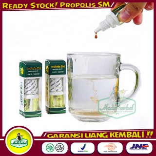 Propolis Sm