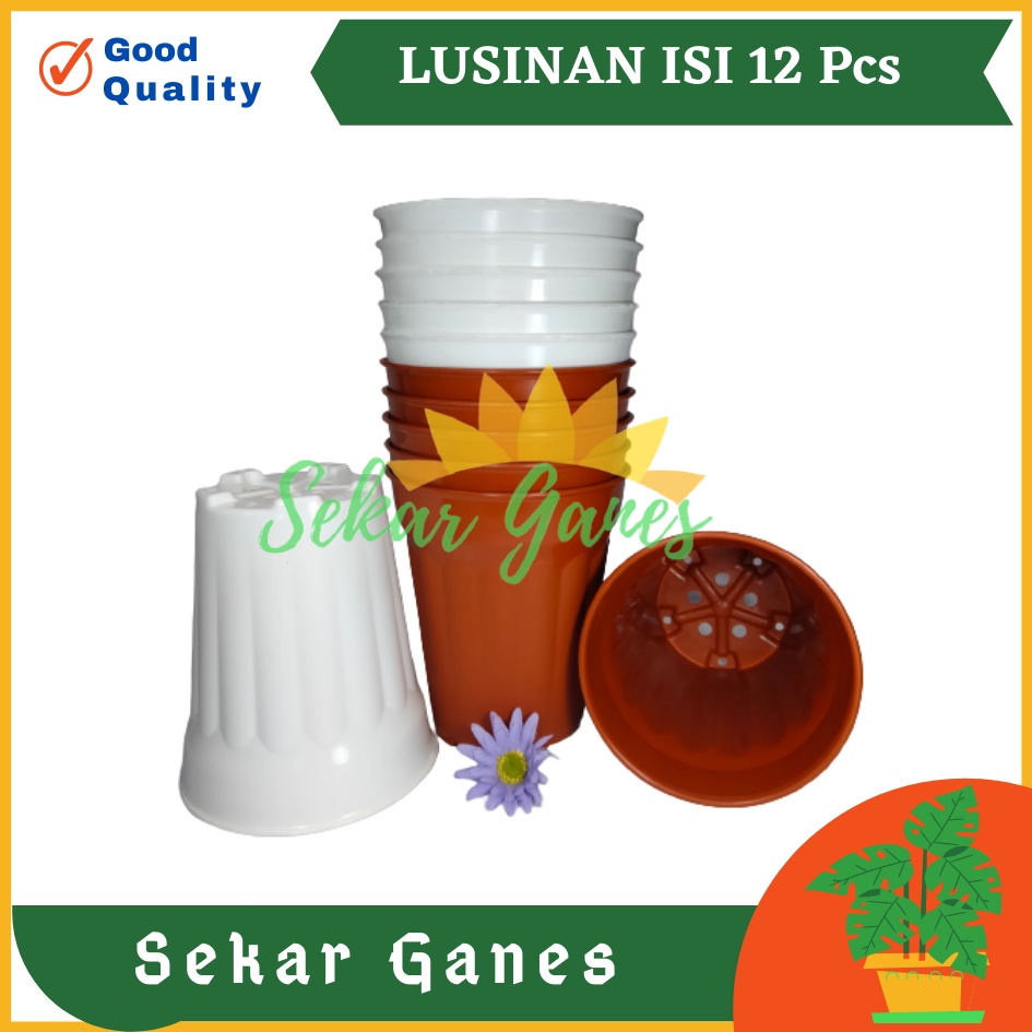 Sekarganes LUSINAN Pot Tinggi Ceo 15 Putih Coklat Merah Bata - Mirip Pot Yogap 15 Murah Pot Tinggi Putih Plastik Besar