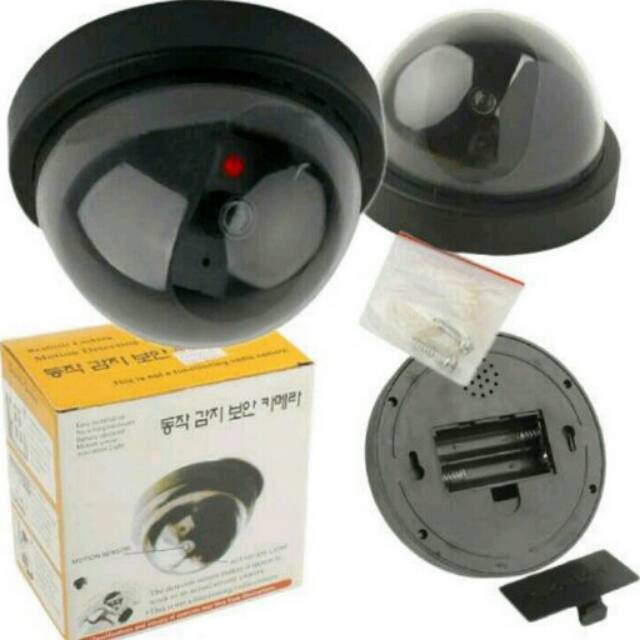 Cctv palsu