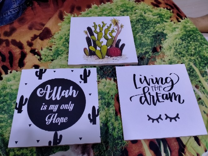 Wp Project Hiasan Dinding Walldecor Pajangan Dinding Shabby Chic Kaktus Succulents