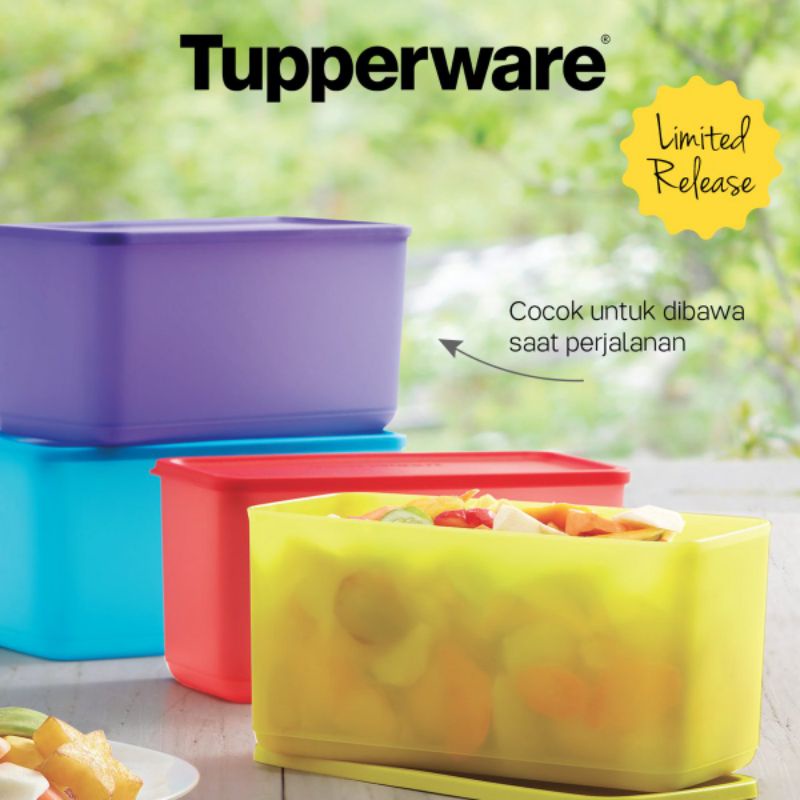 tupperware fantastic four per pcs - wadah sayur - tempat serbaguna - wadah salad
