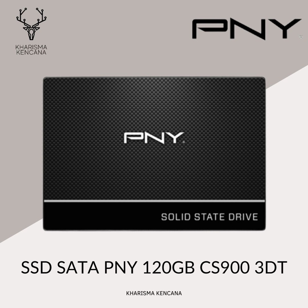 SSD SATA PNY 120GB CS900 3DT