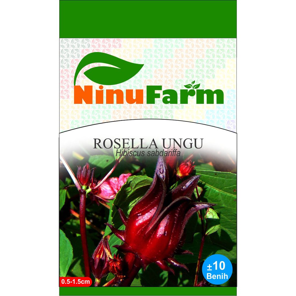 Benih Rosela Rosella Ungu 10Seeds