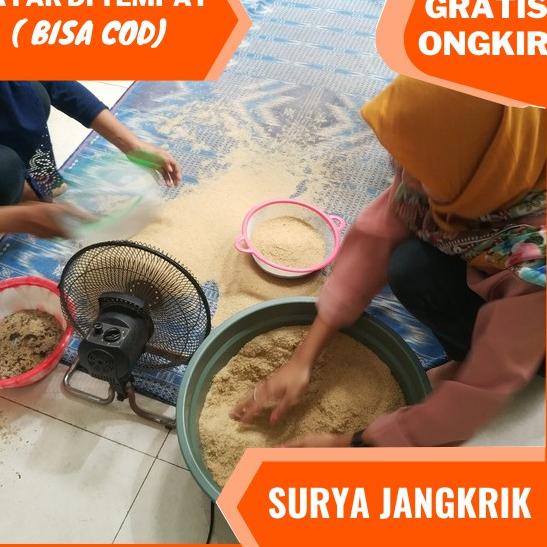 (L-OHQ) (♡) agen jual telur jangkrik alam kualitas super 100 gram (viral)