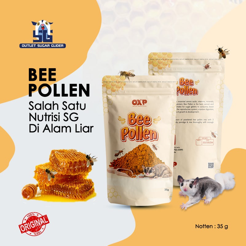 BEE POLLEN PREMIUM POWDER / NUTRISI MAKANAN WAJIB SUGAR GLIDER