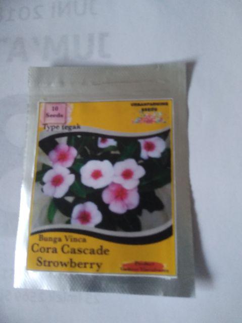 Benih Vinca Cora Cascade Strowberry Tegak 10 Biji – Kemasan Foil