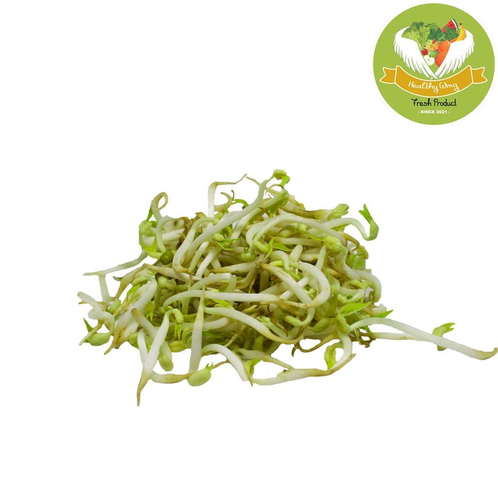 

Sayur Tauge / toge Segar (1kg - 250gr)