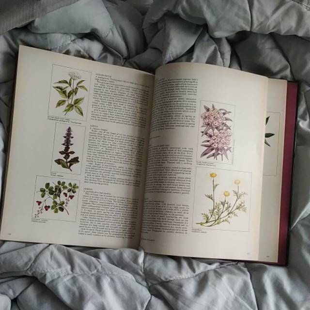 

Buku panduan belajar melukis mewarnai bunga watercolor watercolour