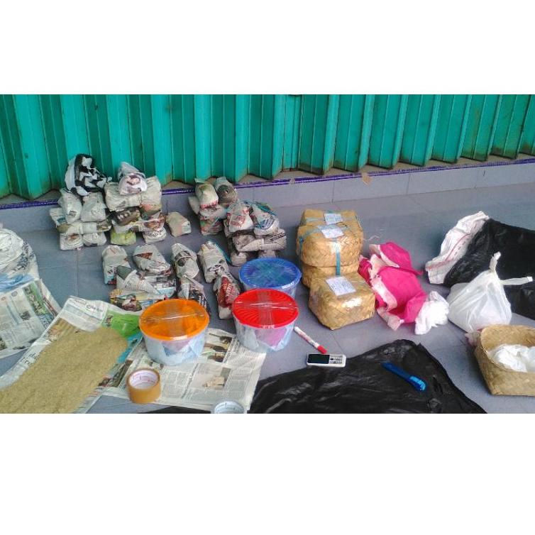 Modern.. telur jangkrik kalung murah berkualitas 500gram