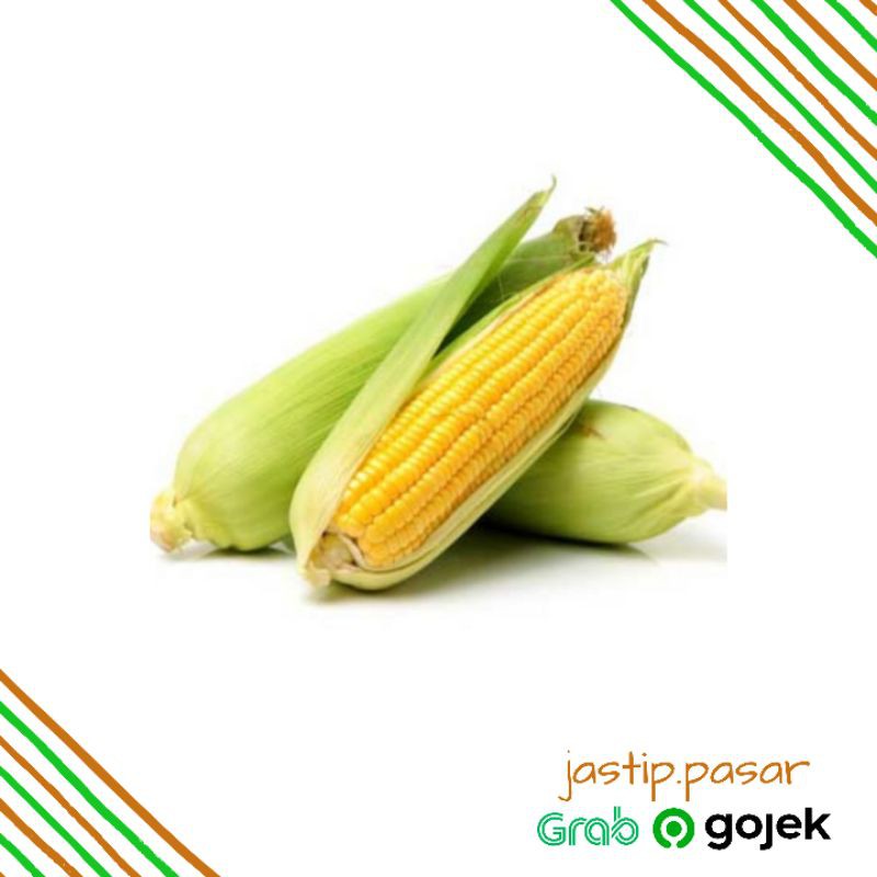 

Jagung Manis Pack Sayuran Fresh (jastip.pasar)