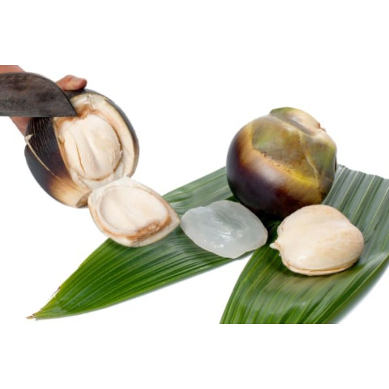 

Buah lontar kupas asli kota tuban. harga per 1kg