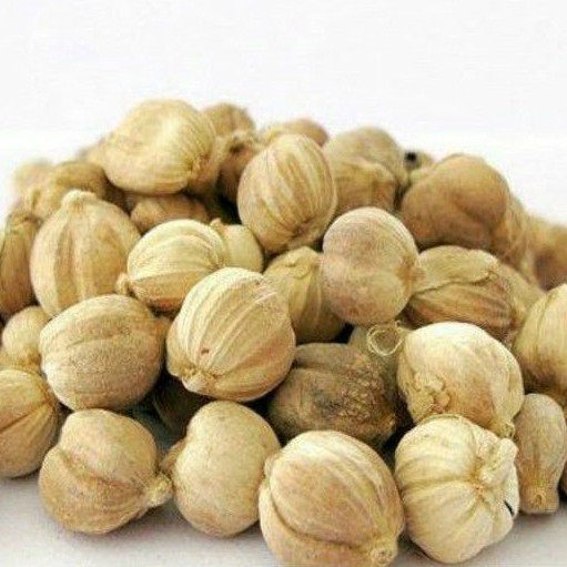 

Kapulaga 10gr