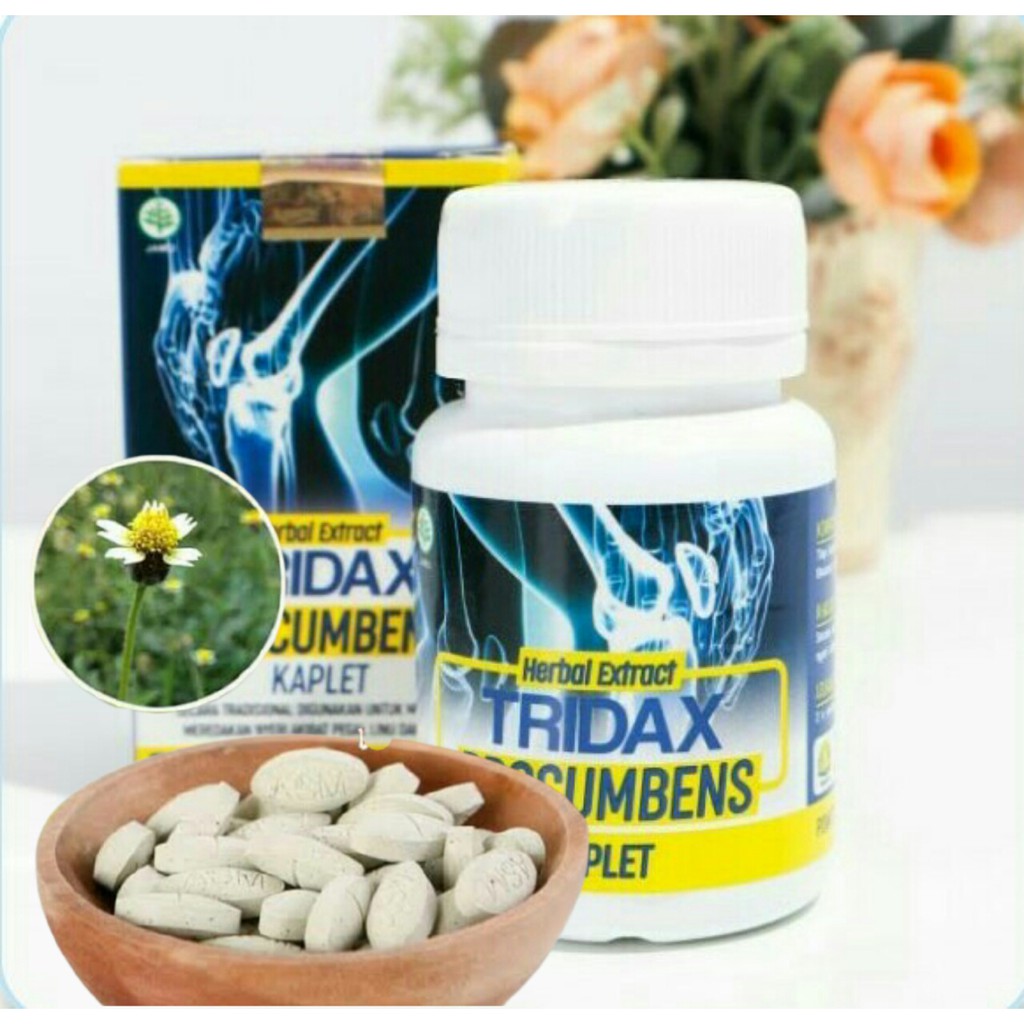 

Terbukti tridaxprocumens Obat Asam Urat, Nyeri Sendi