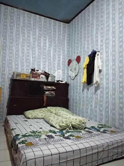 KUKE Wallpaper  Sticker Motif Keong Liquid Wallpaper  