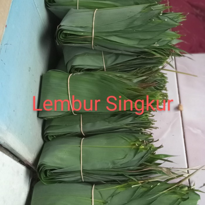 

New Daun Bambu jumbo segar Bungkus Bacang,satu ikat isi 100 lembar