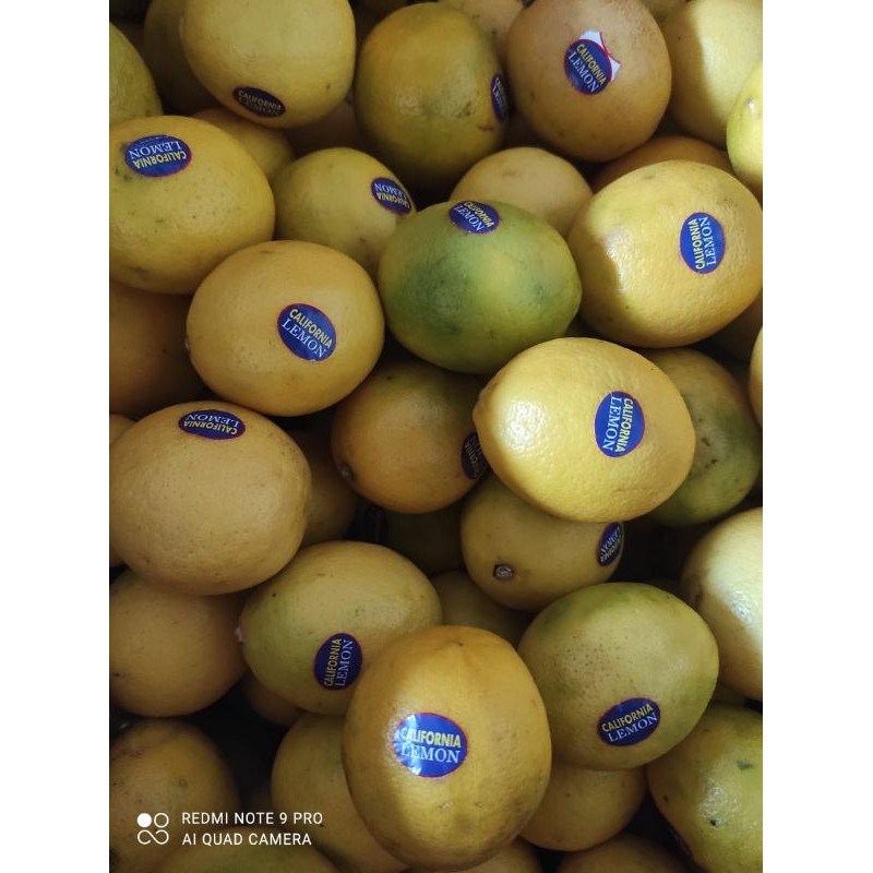 

jeruk lemon california
