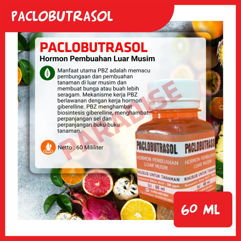 Hormon Paclobutrazol Paclobutrazol Tanaman Berbuah Diluar Musim menghambat biosintesis gibereline