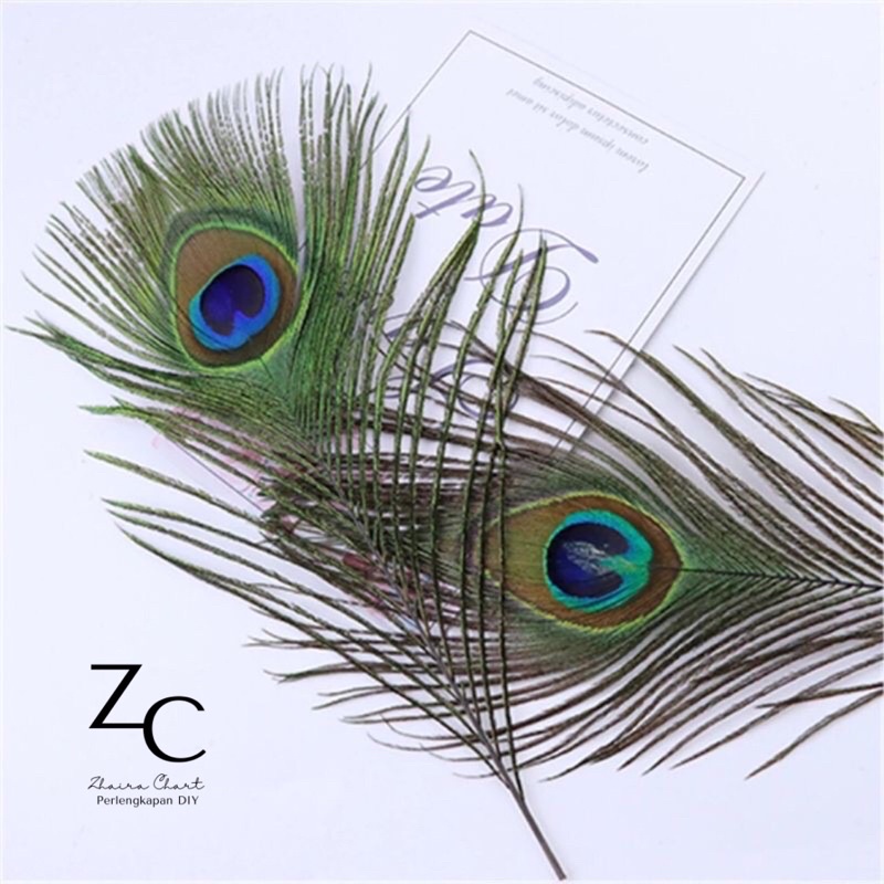 Bulu Merak Pendek 25cm Eceran - Bulu Merak Sintetis