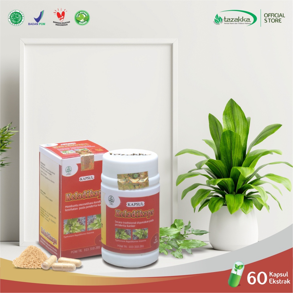 Kapsul Keladi Tikus Buat Kangker Obat Kanker Payudara Yg Ampuh Herbal Tazakka Original Halal BPOM Is