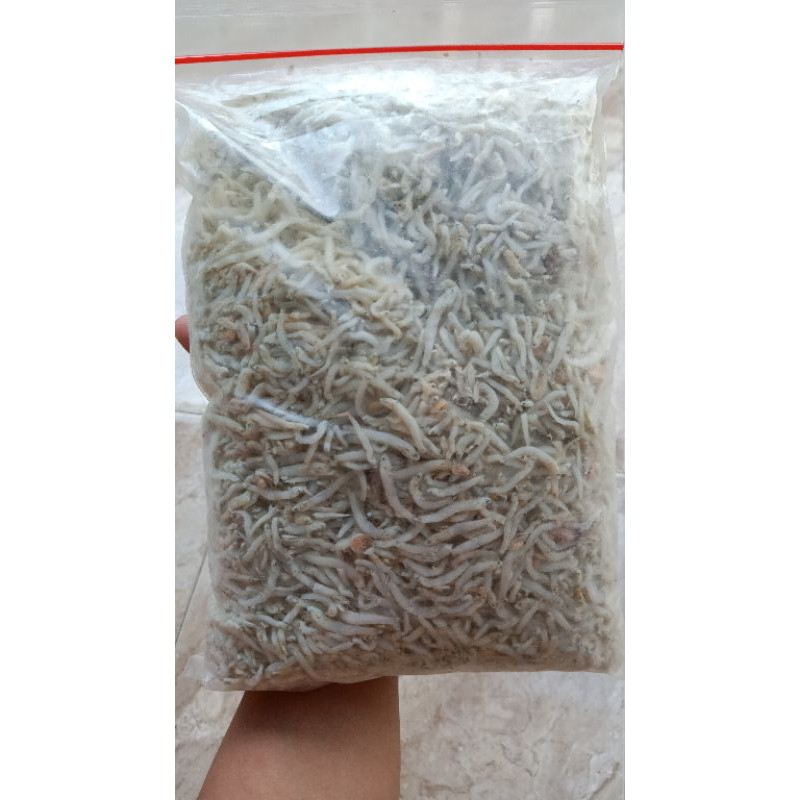 

Ikan teri nasi sedang