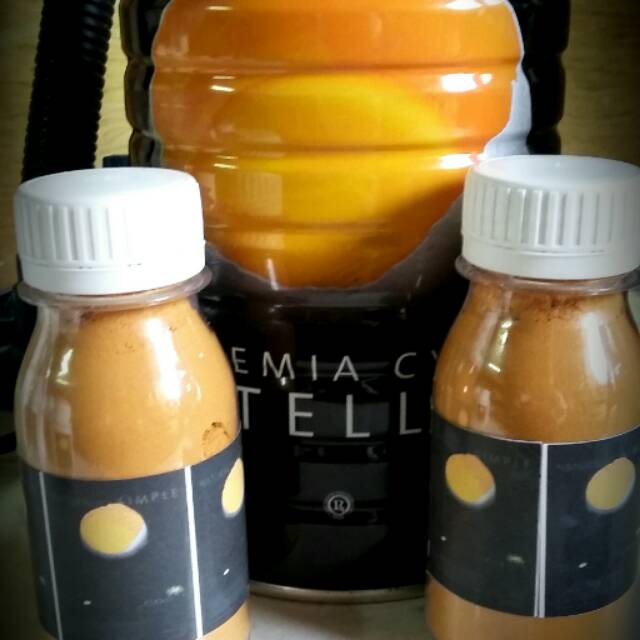 Pakan Burayak Ikan Artemia Vitellus