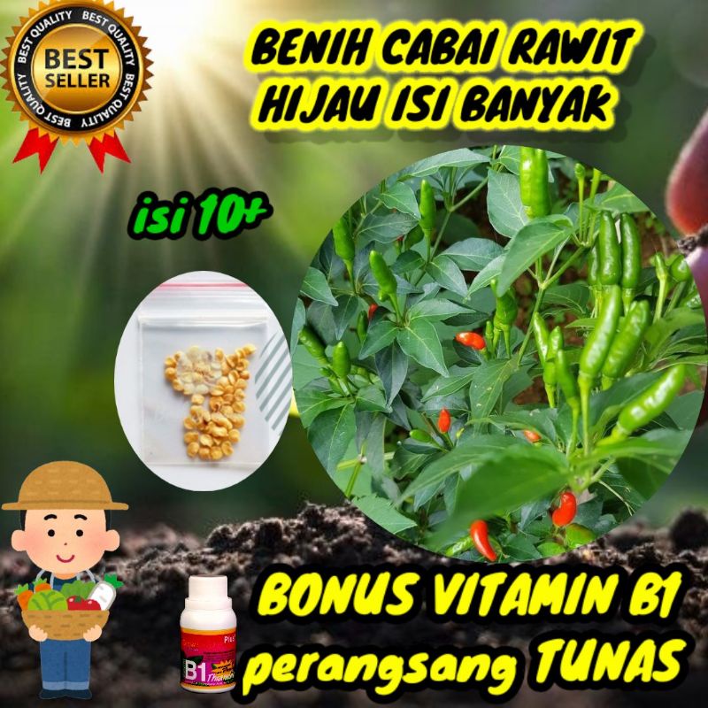 bibit cabe rawit hijau super F1