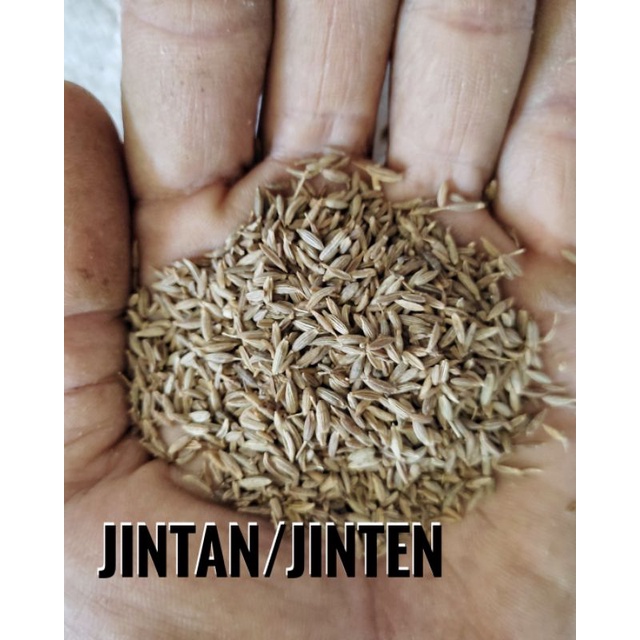 

jintan/jinten putih untuk masak 10gr