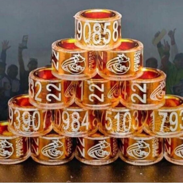 Ring burung dara 2022 Ready