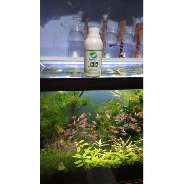 Co2 Cair 250ml Untuk Aquascape Shopee Indonesia